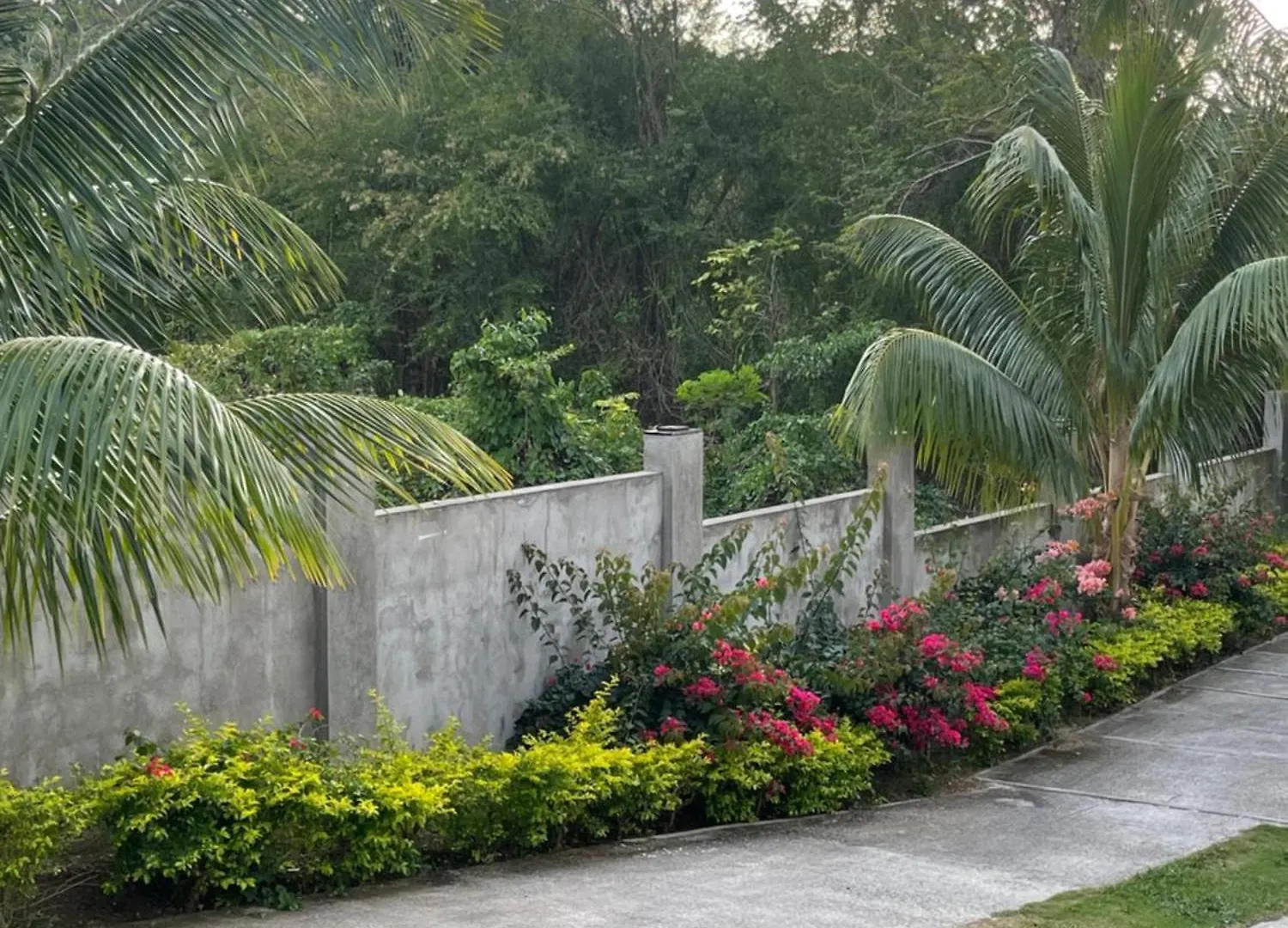 Villa Serenity Garden Apartment Negril